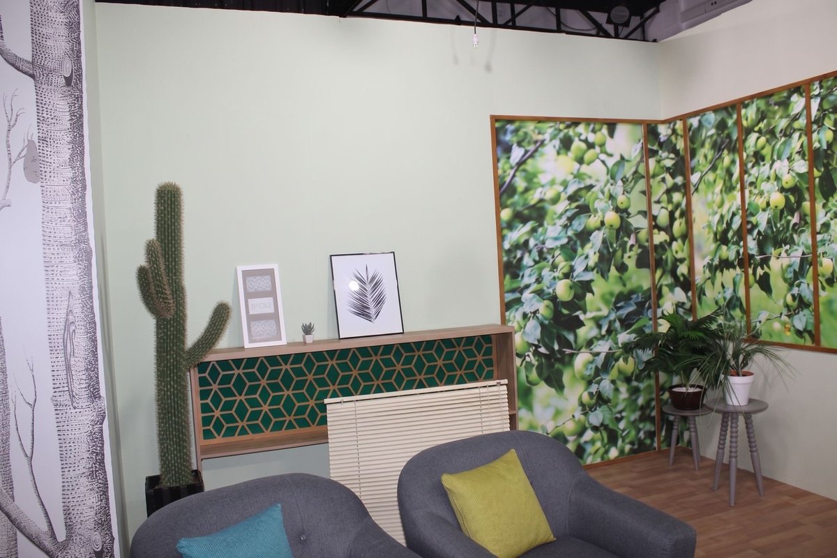 Salon nature / appartement-salon — photo 1